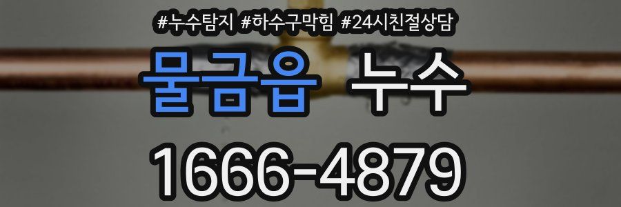 물금읍 누수