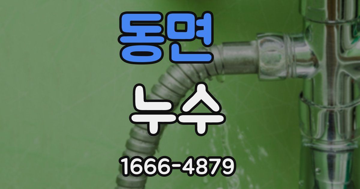 동면 누수