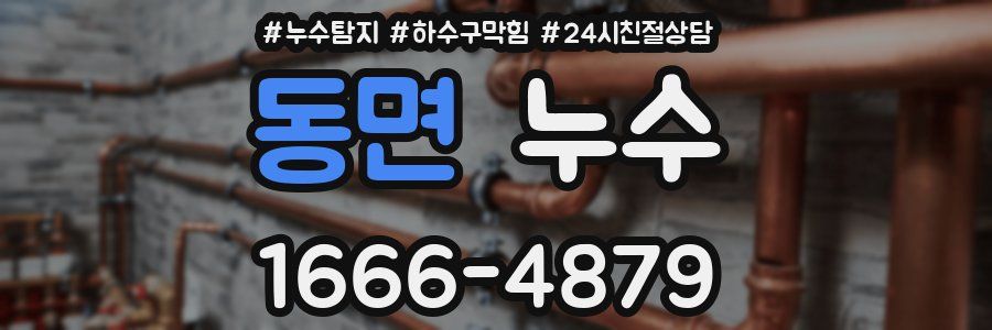 동면 누수