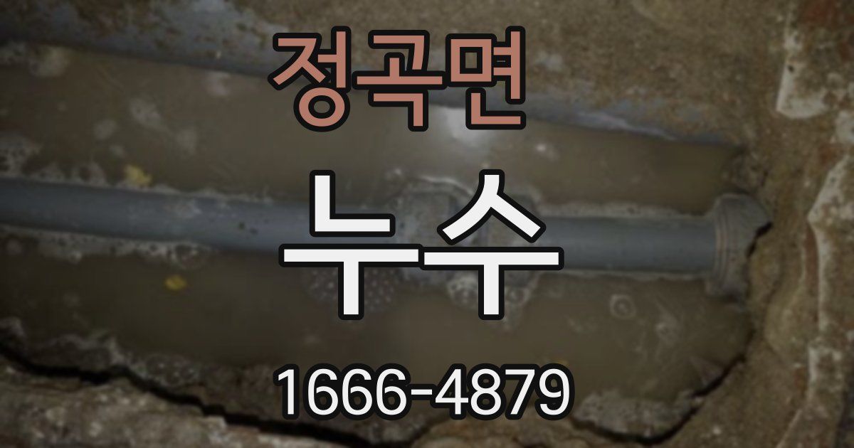 정곡면 누수