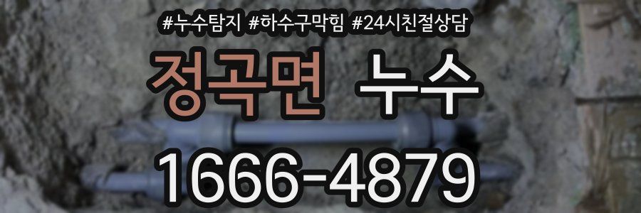 정곡면 누수