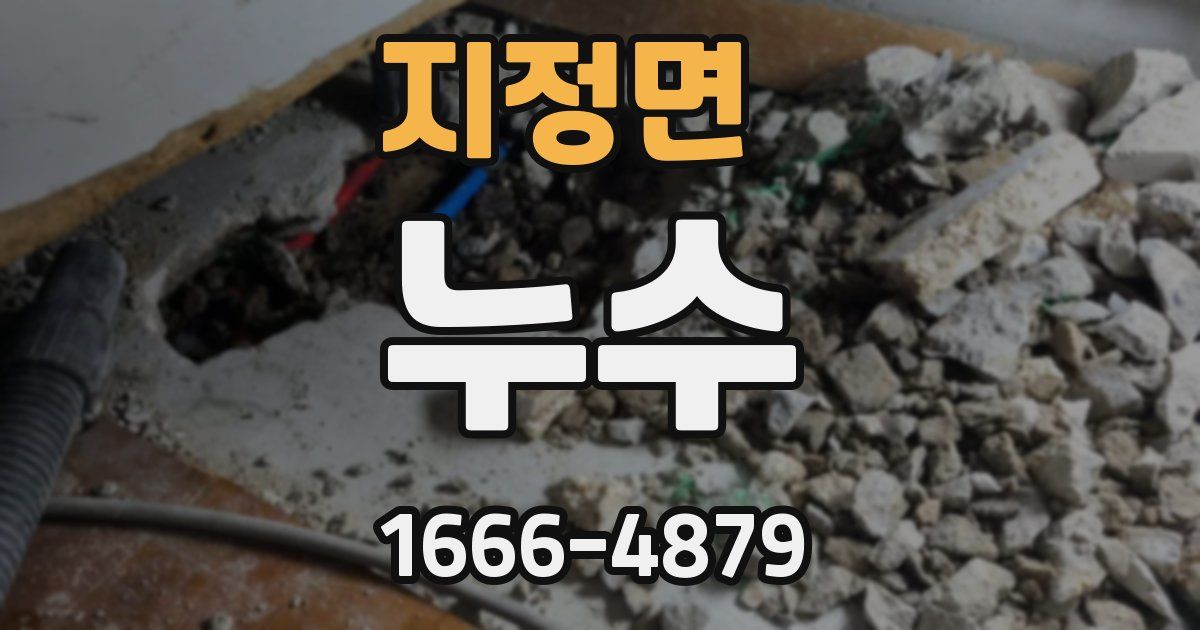지정면 누수