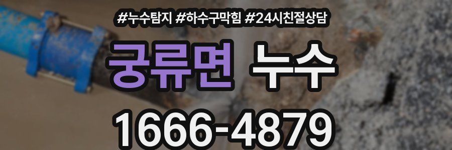 궁류면 누수