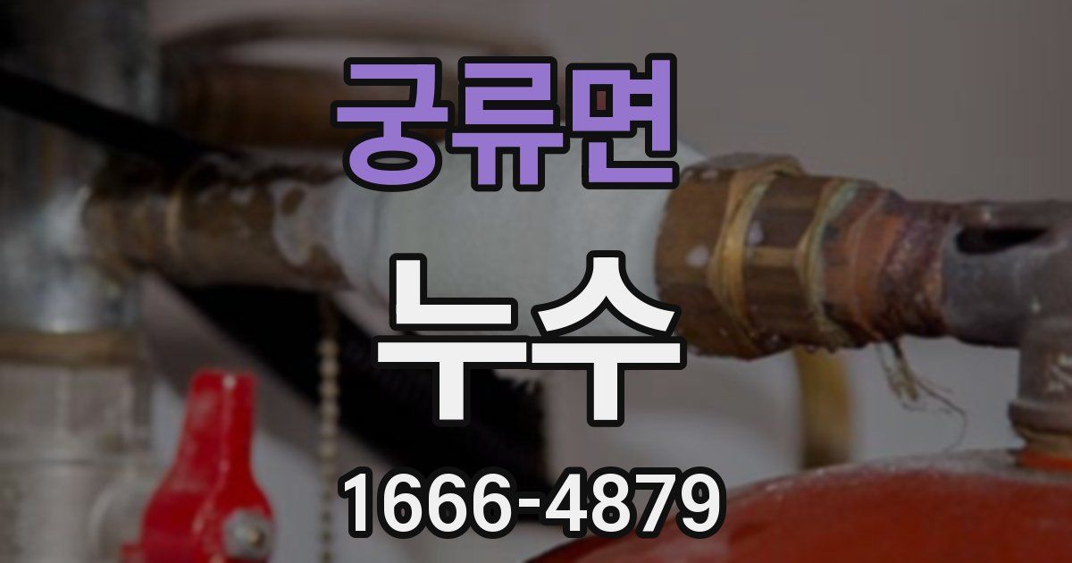 궁류면 누수