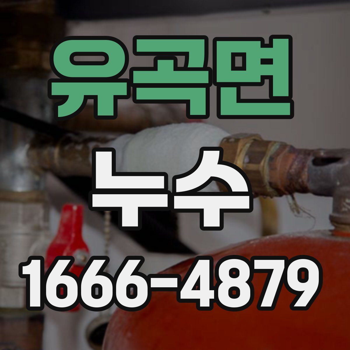 유곡면 누수
