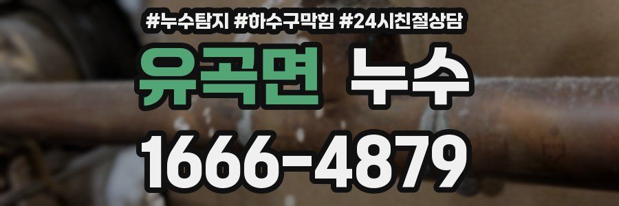 유곡면 누수