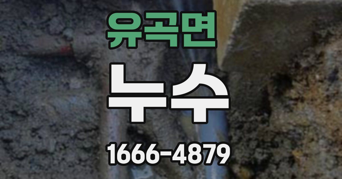 유곡면 누수