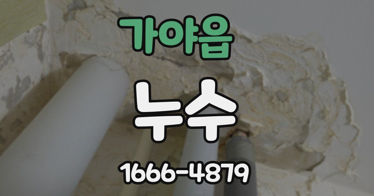 가야읍 누수