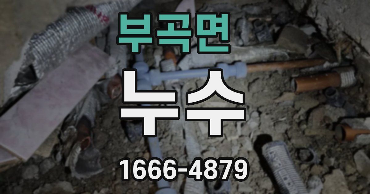 부곡면 누수