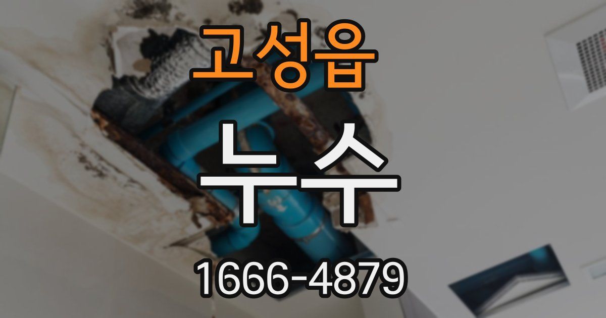 고성읍 누수