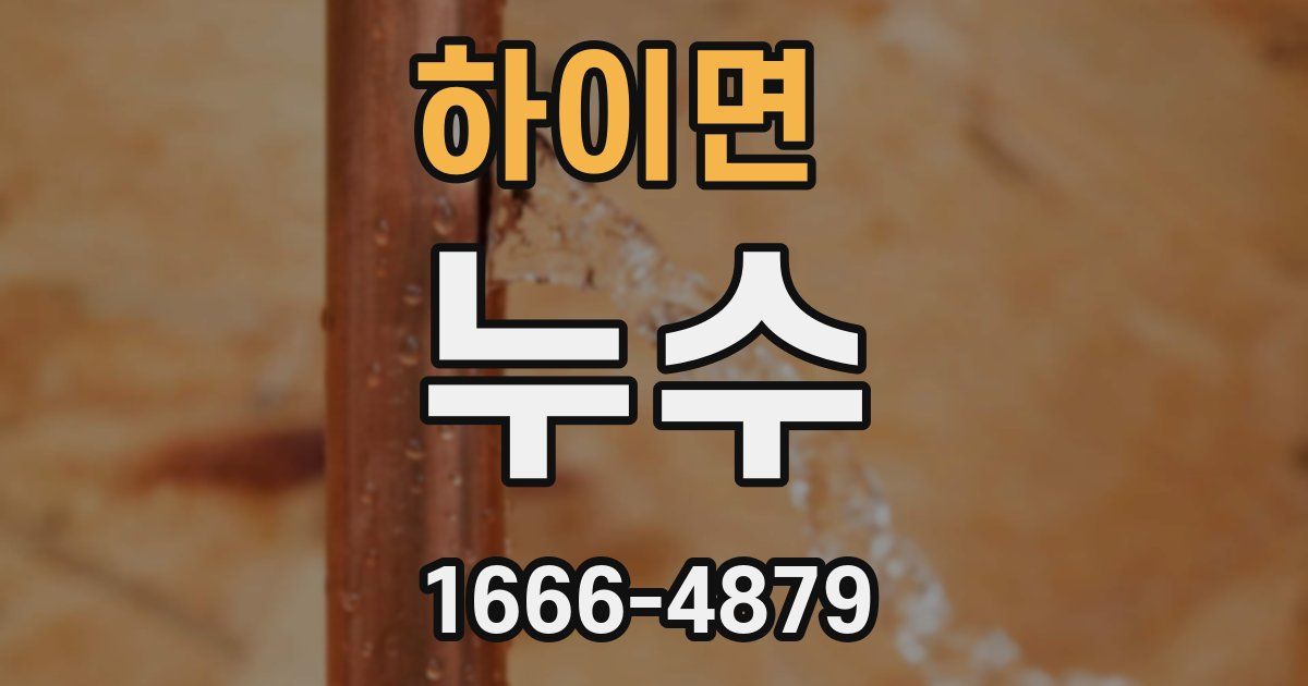 하이면 누수