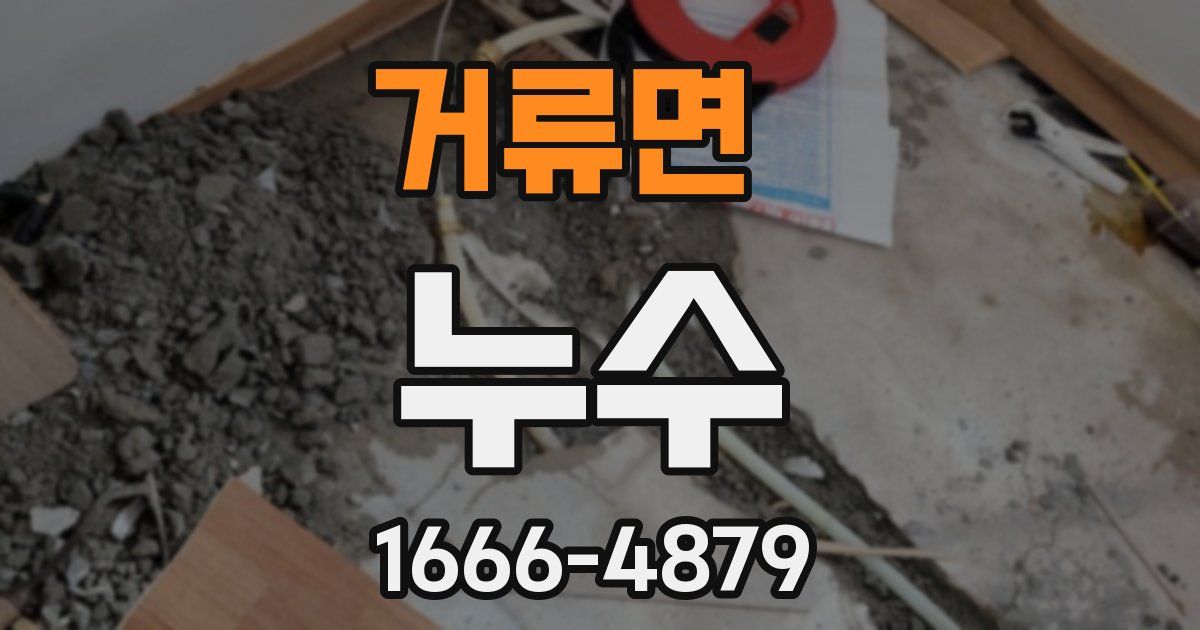 거류면 누수
