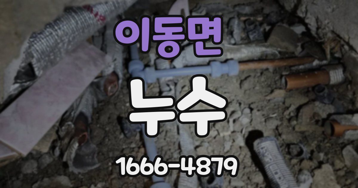 이동면 누수