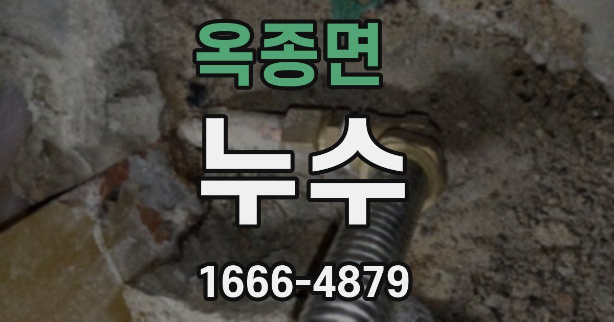 옥종면 누수