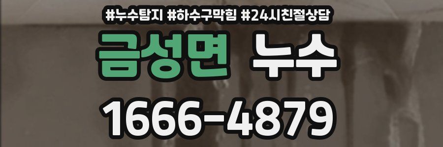 금성면 누수