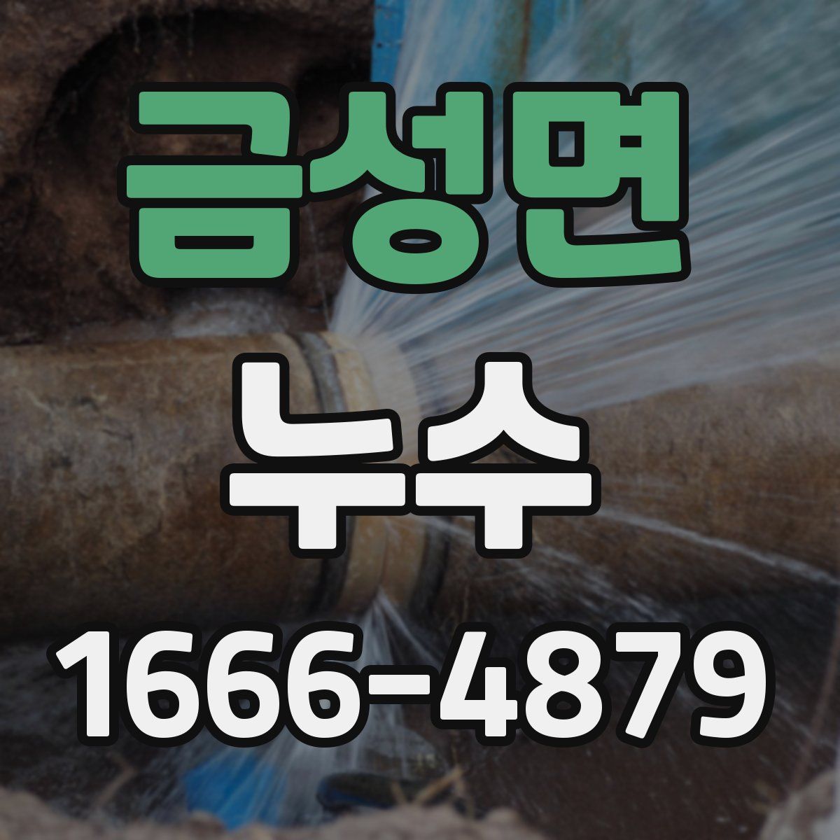 금성면 누수