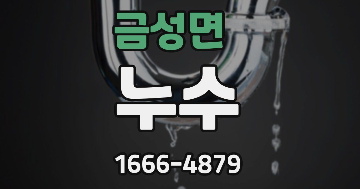 금성면 누수