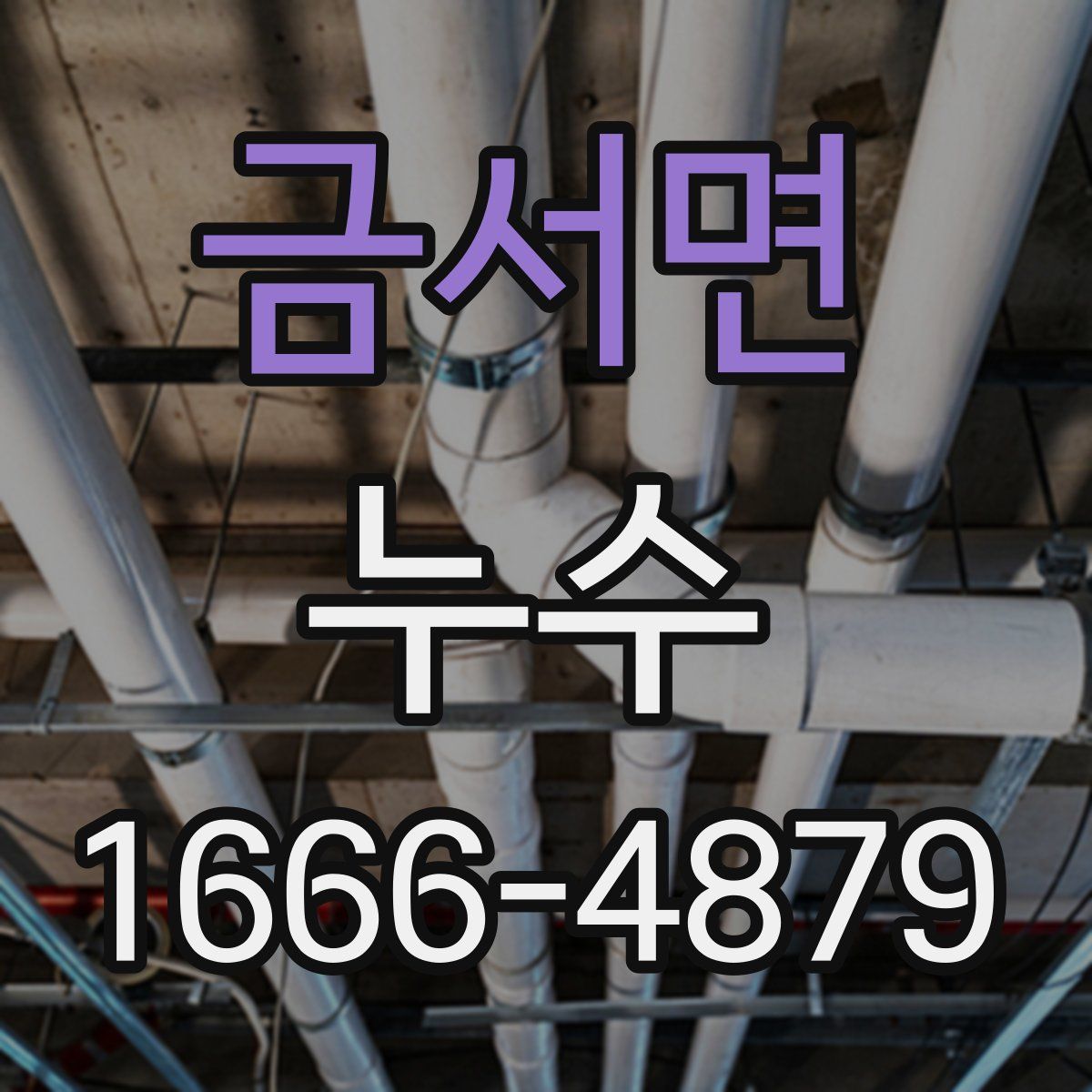 금서면 누수