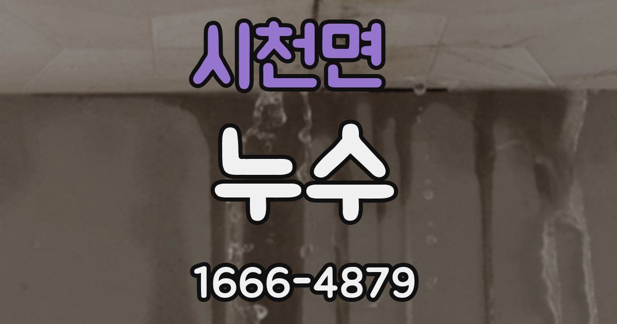 시천면 누수
