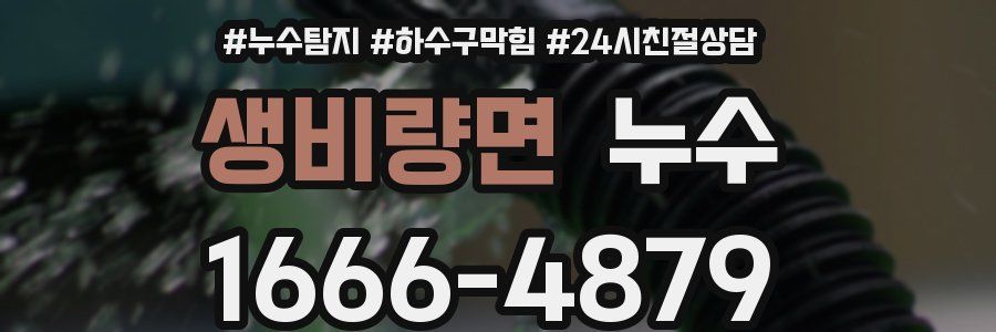 생비량면 누수