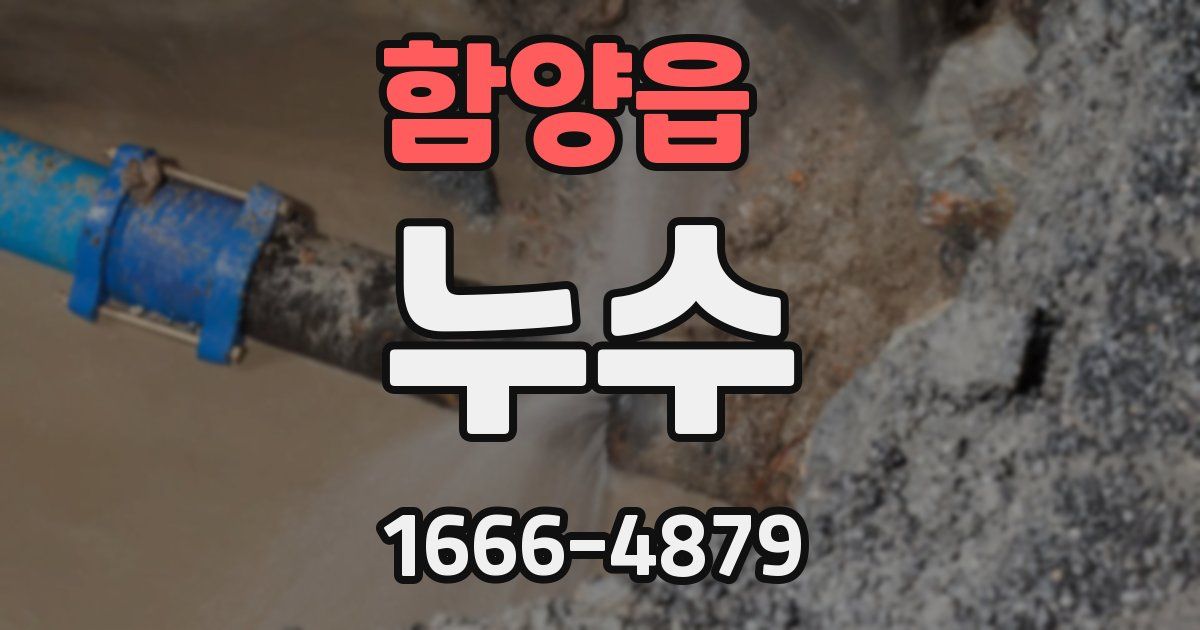 함양읍 누수