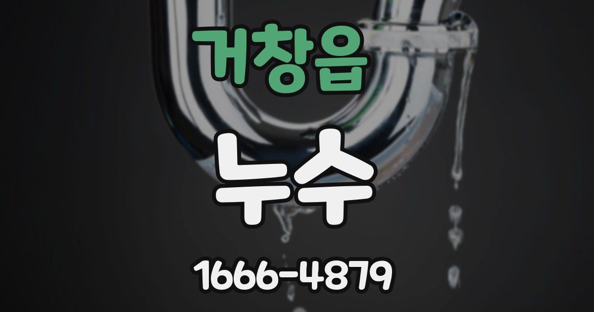 거창읍 누수