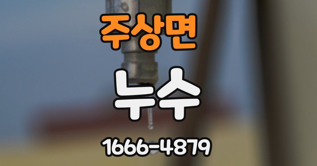 주상면 누수