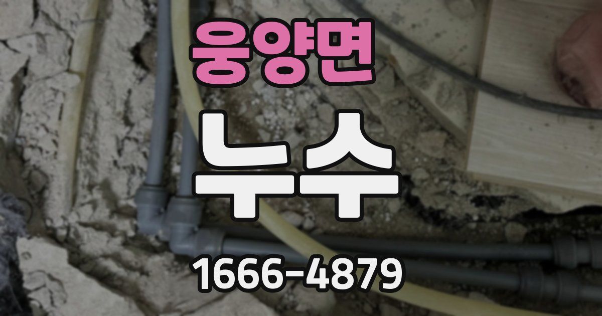 웅양면 누수