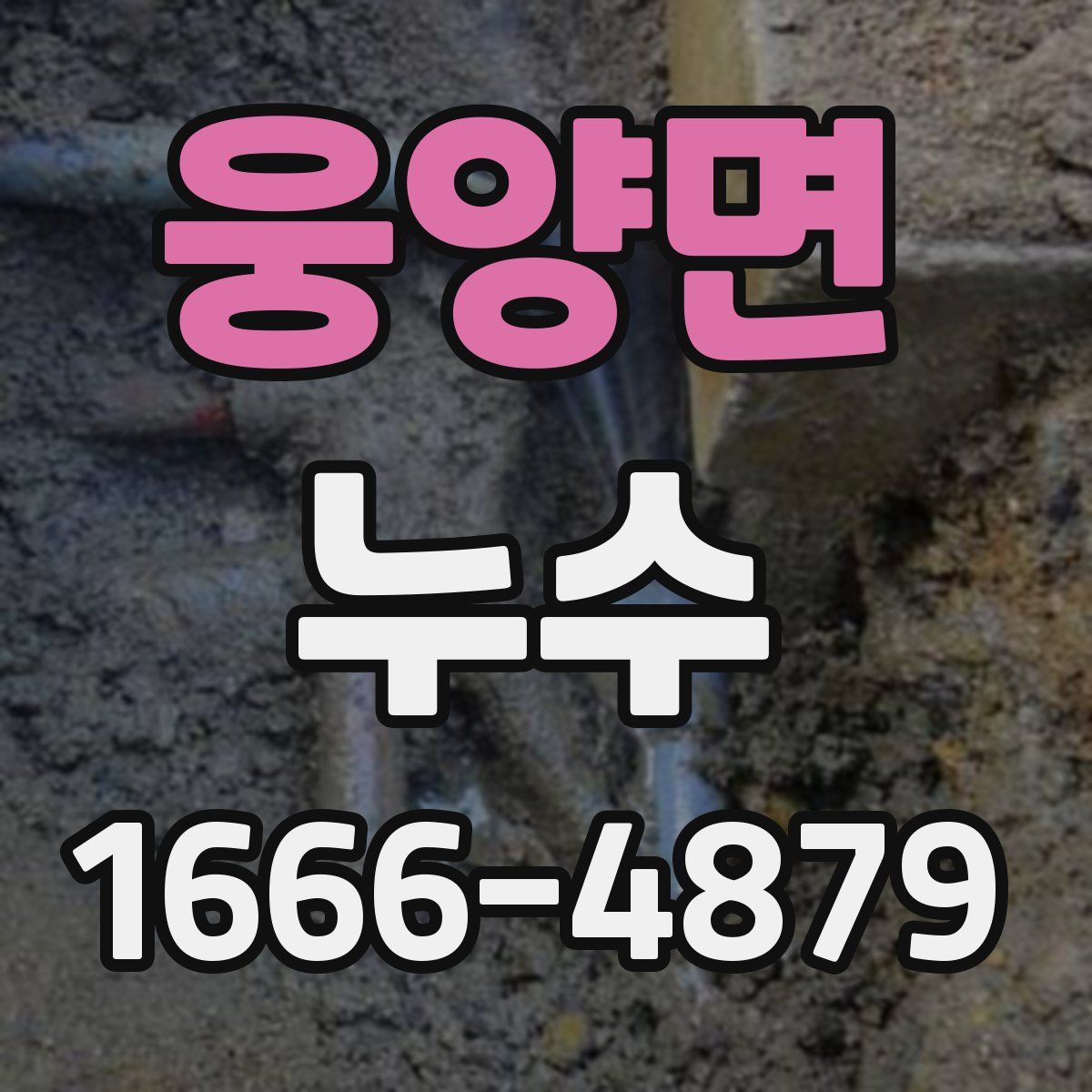 웅양면 누수