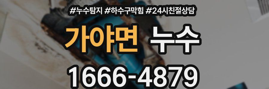 가야면 누수
