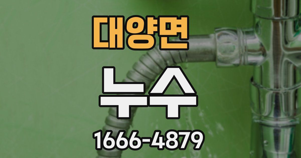 대양면 누수