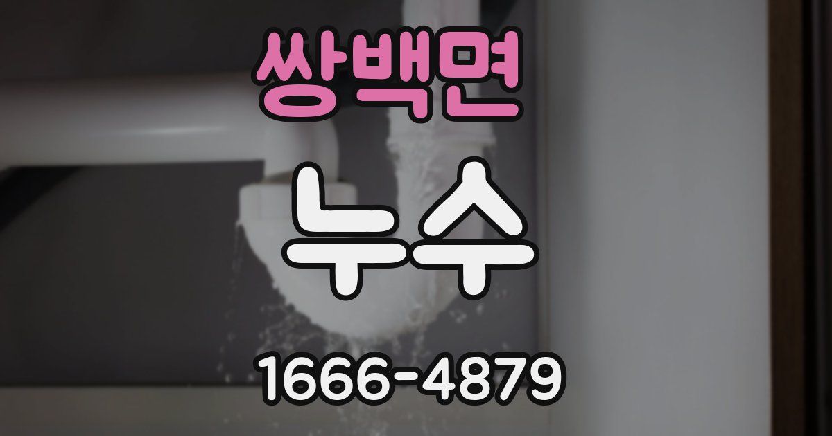 쌍백면 누수