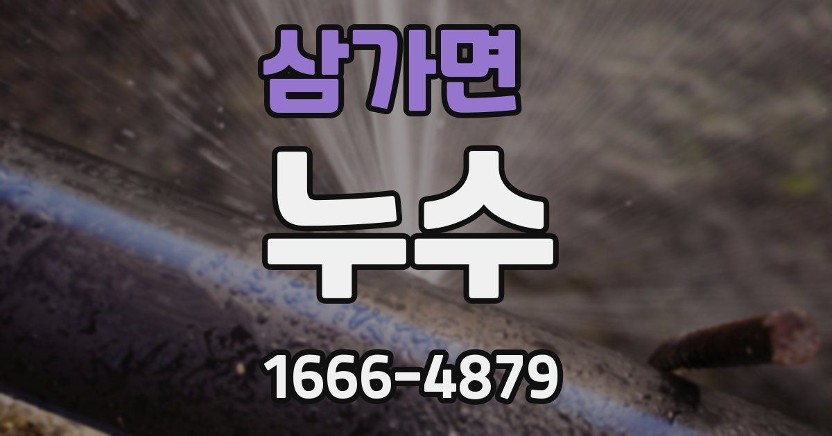 삼가면 누수