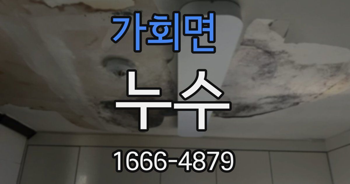 가회면 누수