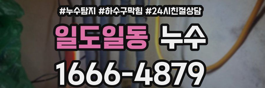 일도일동 누수