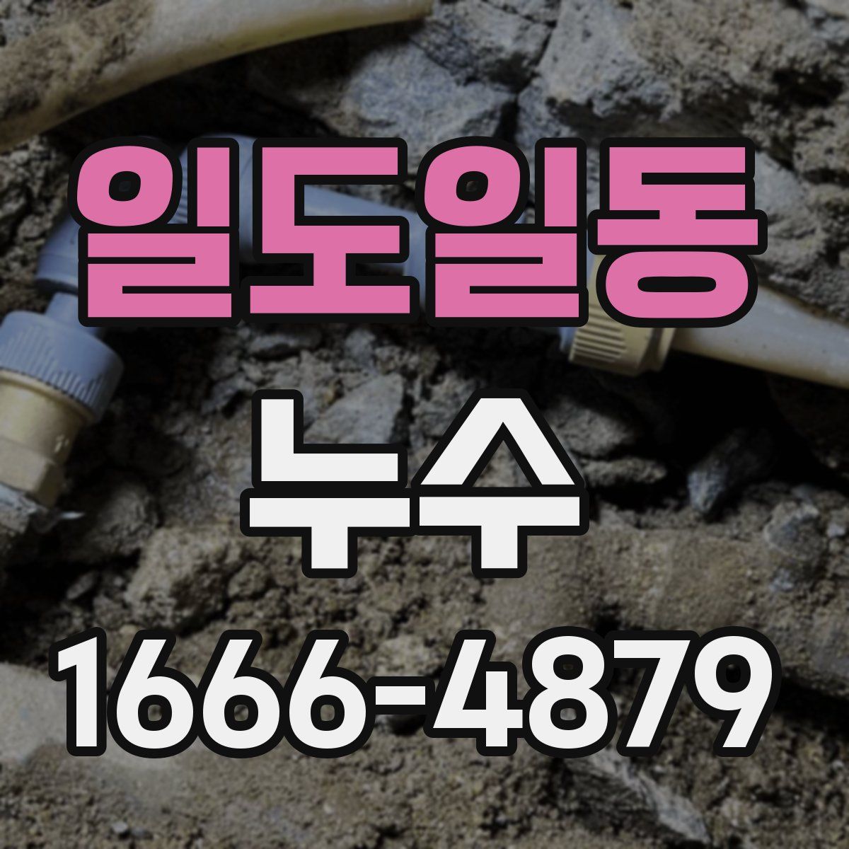 일도일동 누수