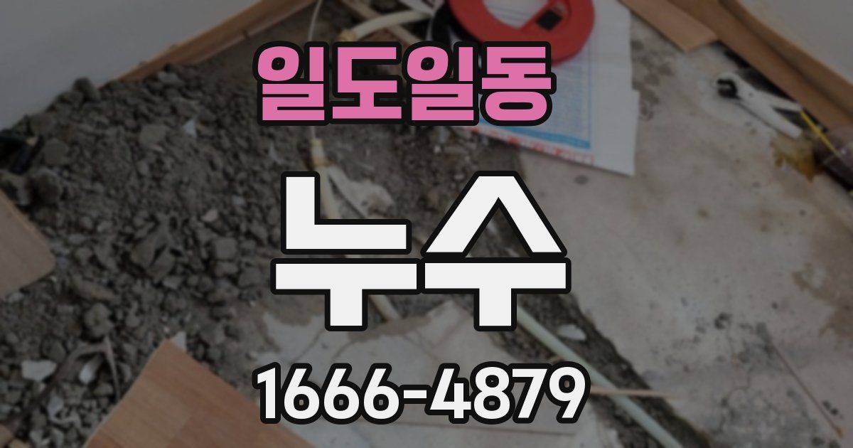 일도일동 누수