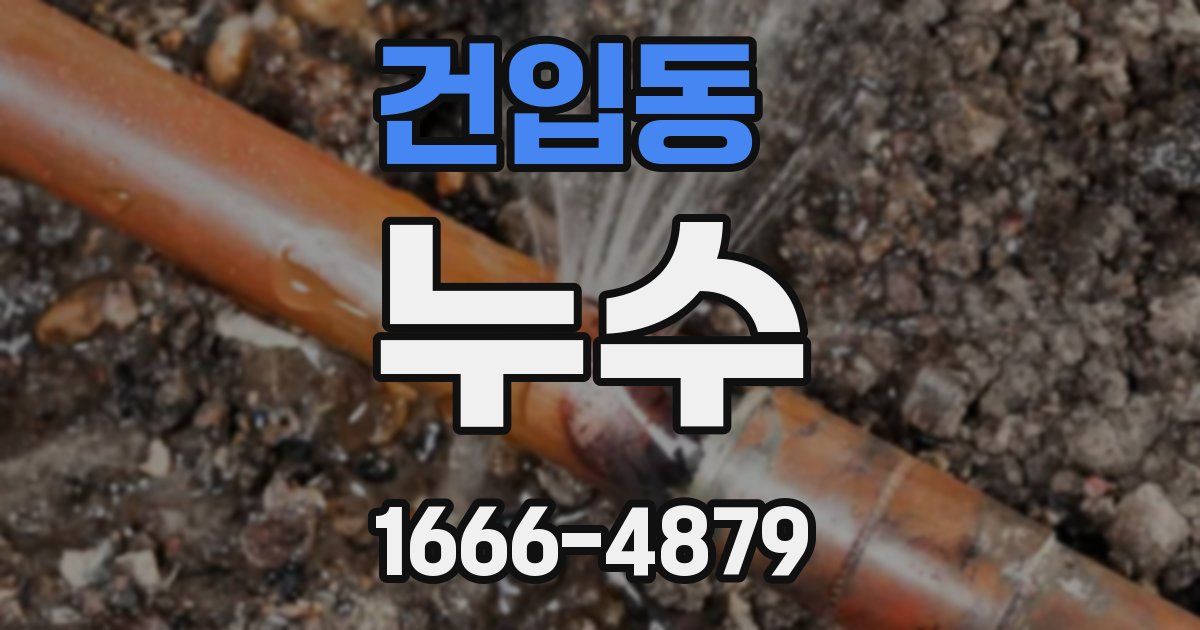 건입동 누수