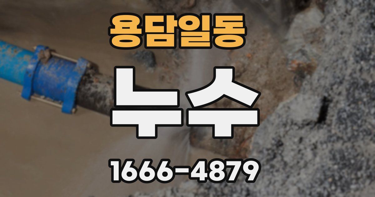 용담일동 누수