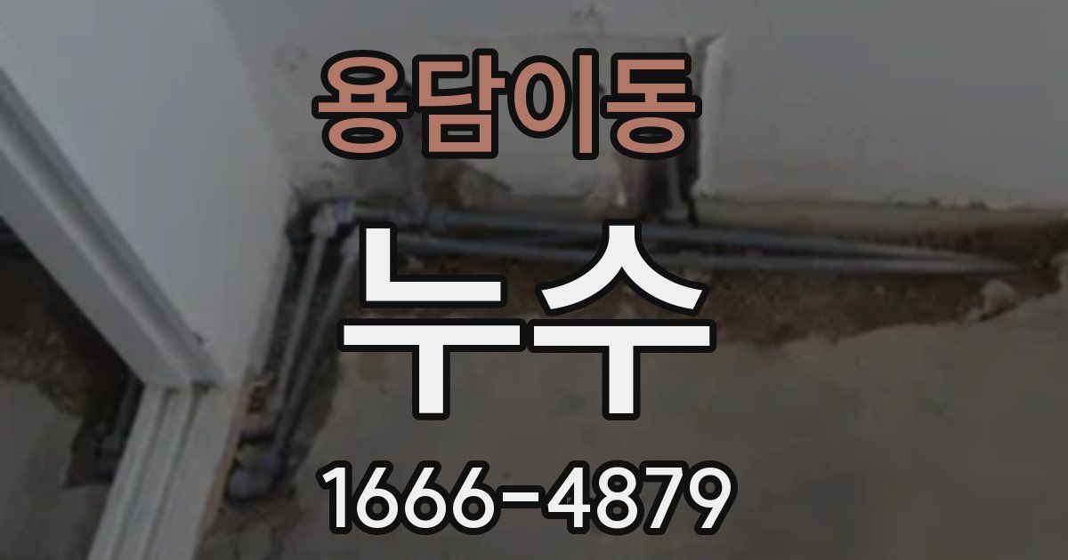 용담이동 누수