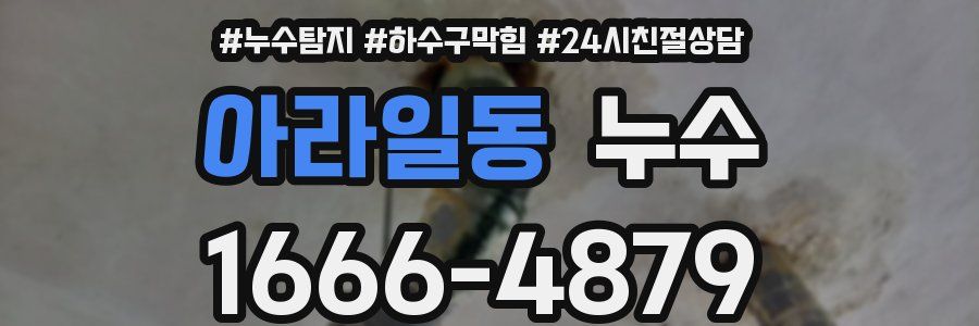 아라일동 누수