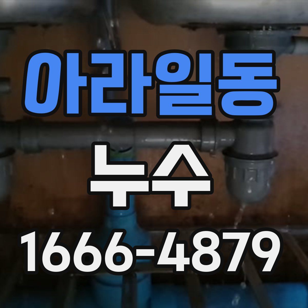 아라일동 누수