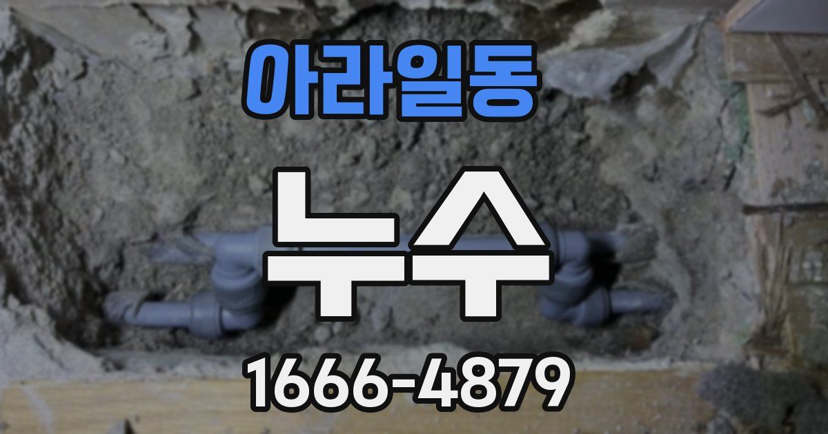 아라일동 누수