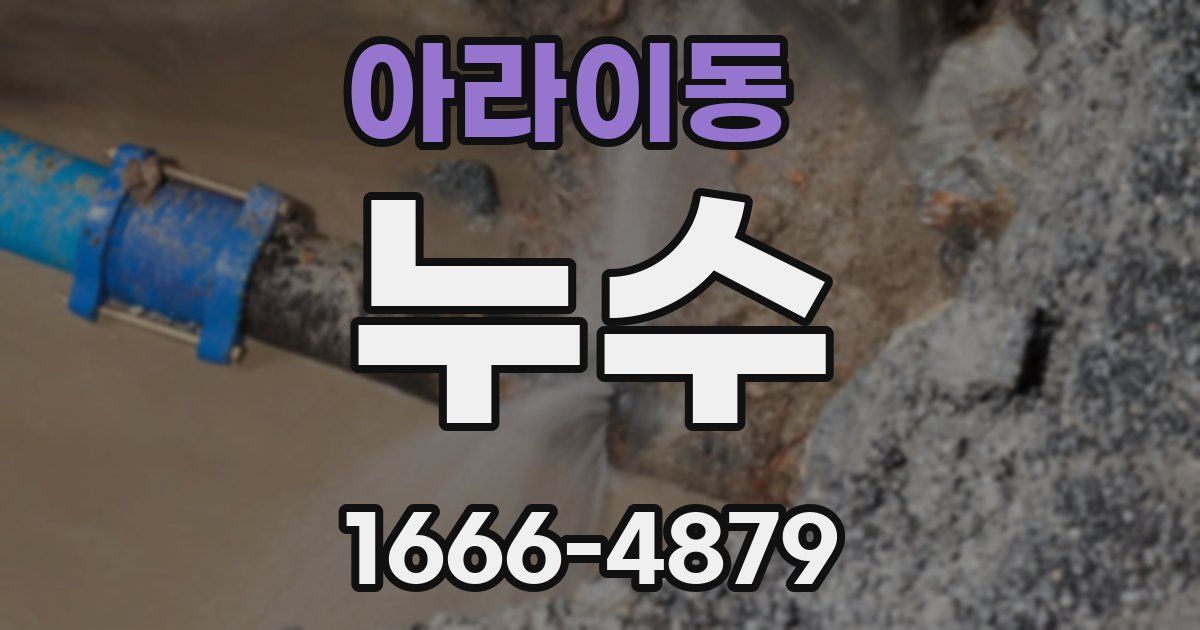 아라이동 누수