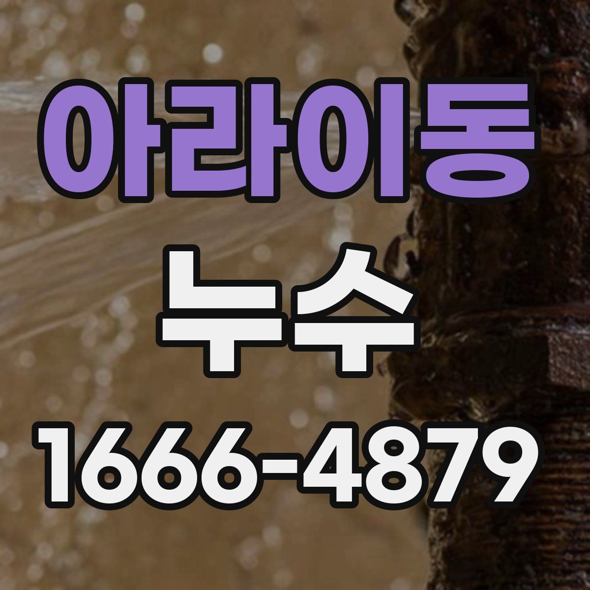 아라이동 누수