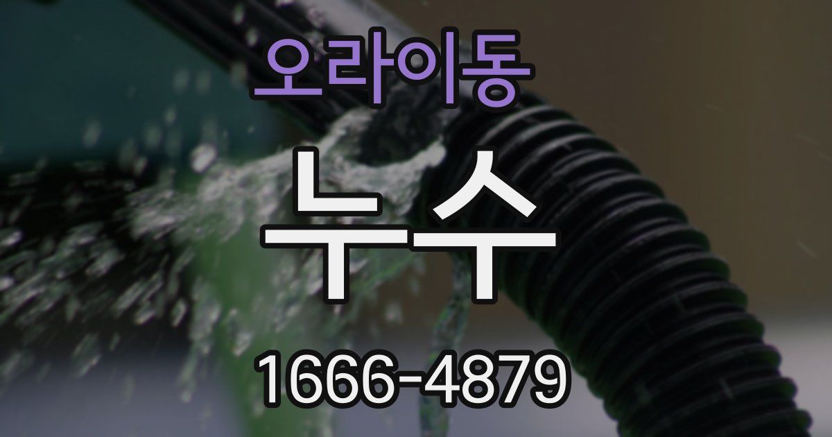 오라이동 누수