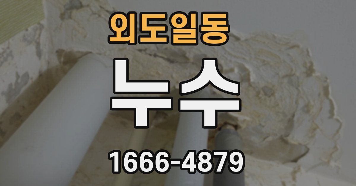 외도일동 누수