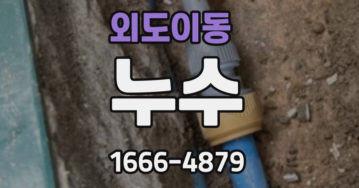 외도이동 누수