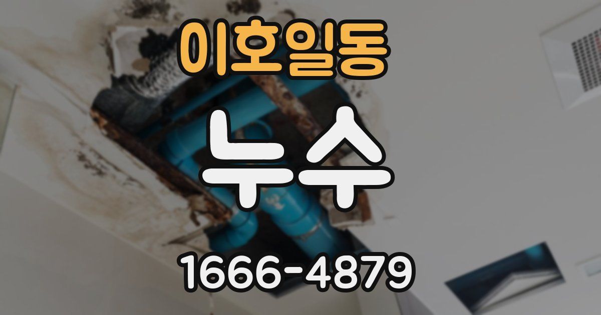 이호일동 누수