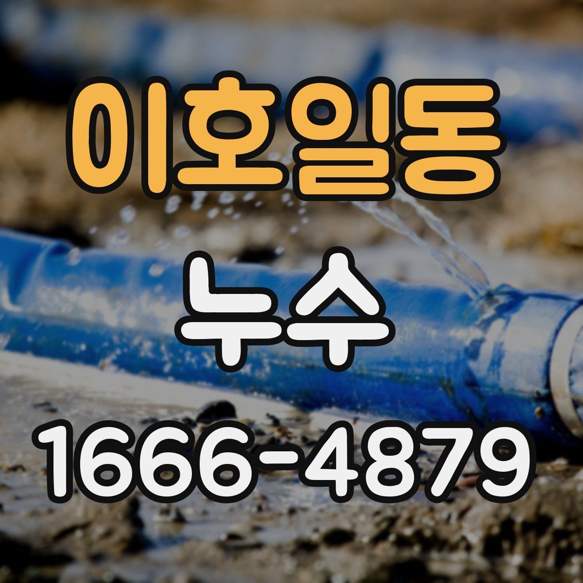 이호일동 누수